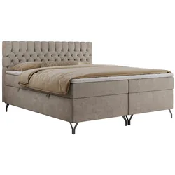 BOXBETT GRIMALDI 140/200 Beige Struktur - H4