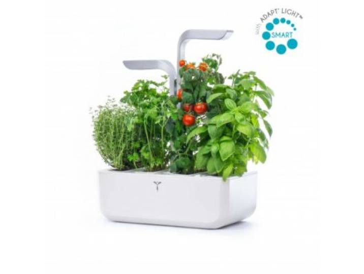 Veritable - Jardin D'intérieur Smart Arctic White