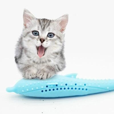 Snug & Styled Catnip Dolphin Cat Teeth Cleaning Silicone Chew Toy, Interactive Dental Care Pet Toy For Cats pink