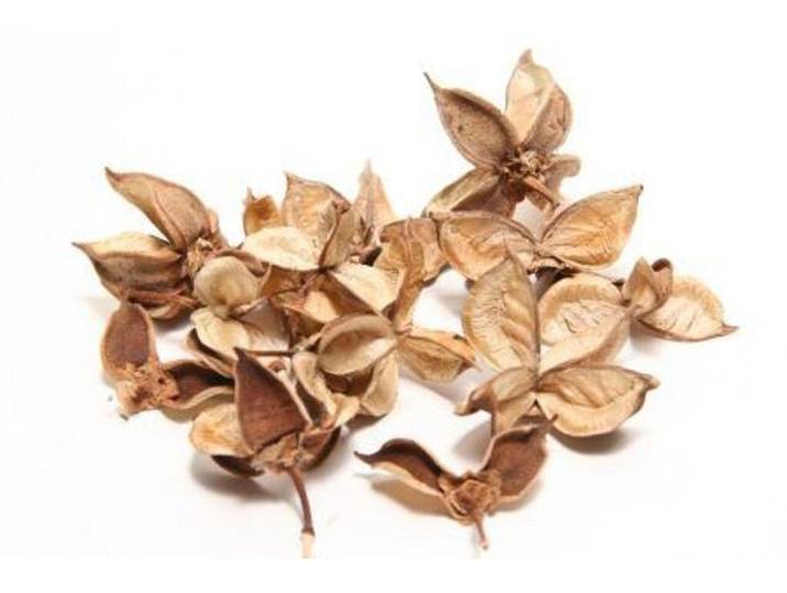 HBX Katoenpeulen naturel