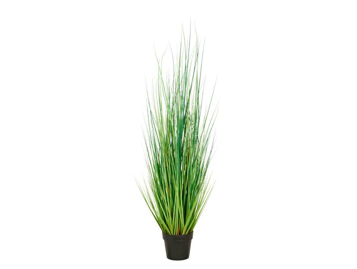 Kunstpflanze Miscanthusgras Typ B 145cm
