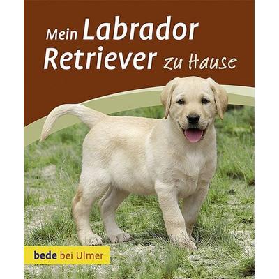 Mein Labrador Retriever zu Hause, Taschenbuch von Maike Harms, Verlag Eugen Ulmer