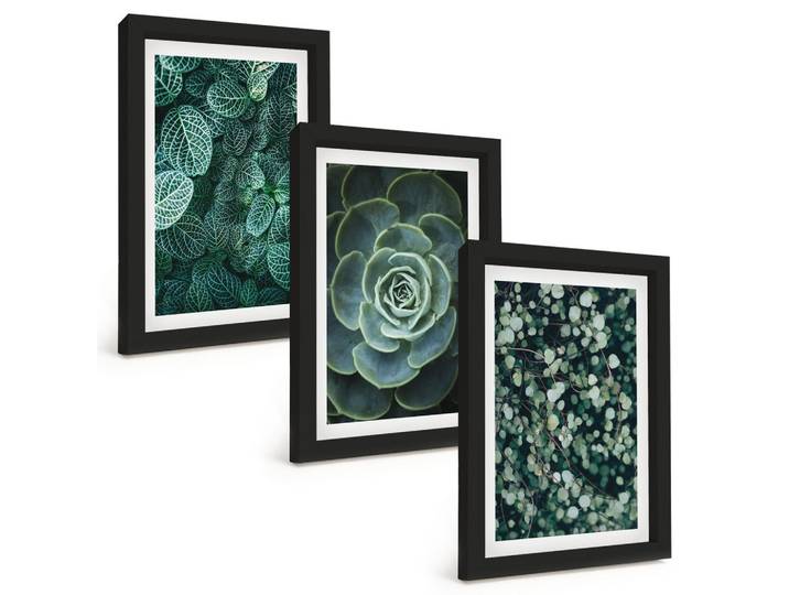 BILDER SET 3er Set - 20x30 cm Schwarzer Rahmen - Sukkulenten