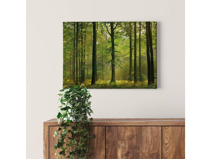 Wandbild Autumn Forest Polyester PVC / Fichtenholz Grün 70 x 50cm
