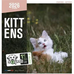 Martin Sellier, Kalender, Chatons