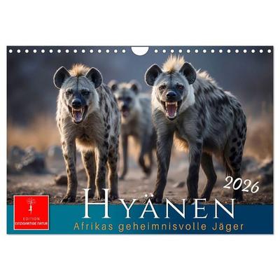 Hyänen - Afrikas geheimnisvolle Jäger (Wandkalender 2026 DIN A4 quer), CALVENDO Monatskalender