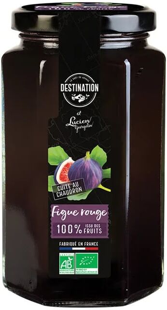 Destination Compota de Figos Bio 300g