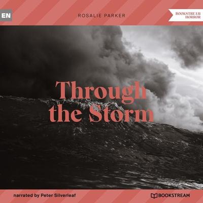 Through the Storm - Rosalie Parker, Audio, 9783991354796