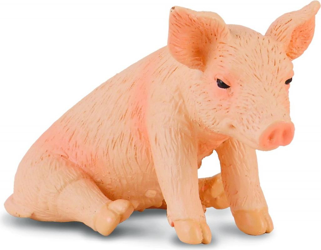 Collecta DANTE Zittend Varken