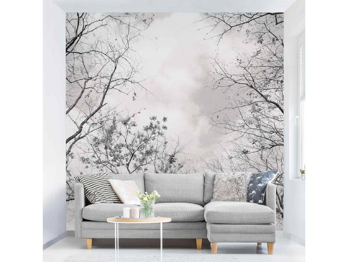 Papier peint Arbres dans le ciel gris 288 x 288cm 288 x 288 cm