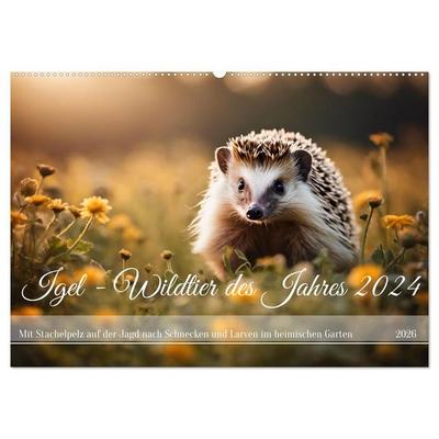 Igel - Wildtier des Jahres 2024 (Wandkalender 2026 DIN A2 quer), CALVENDO Monatskalender