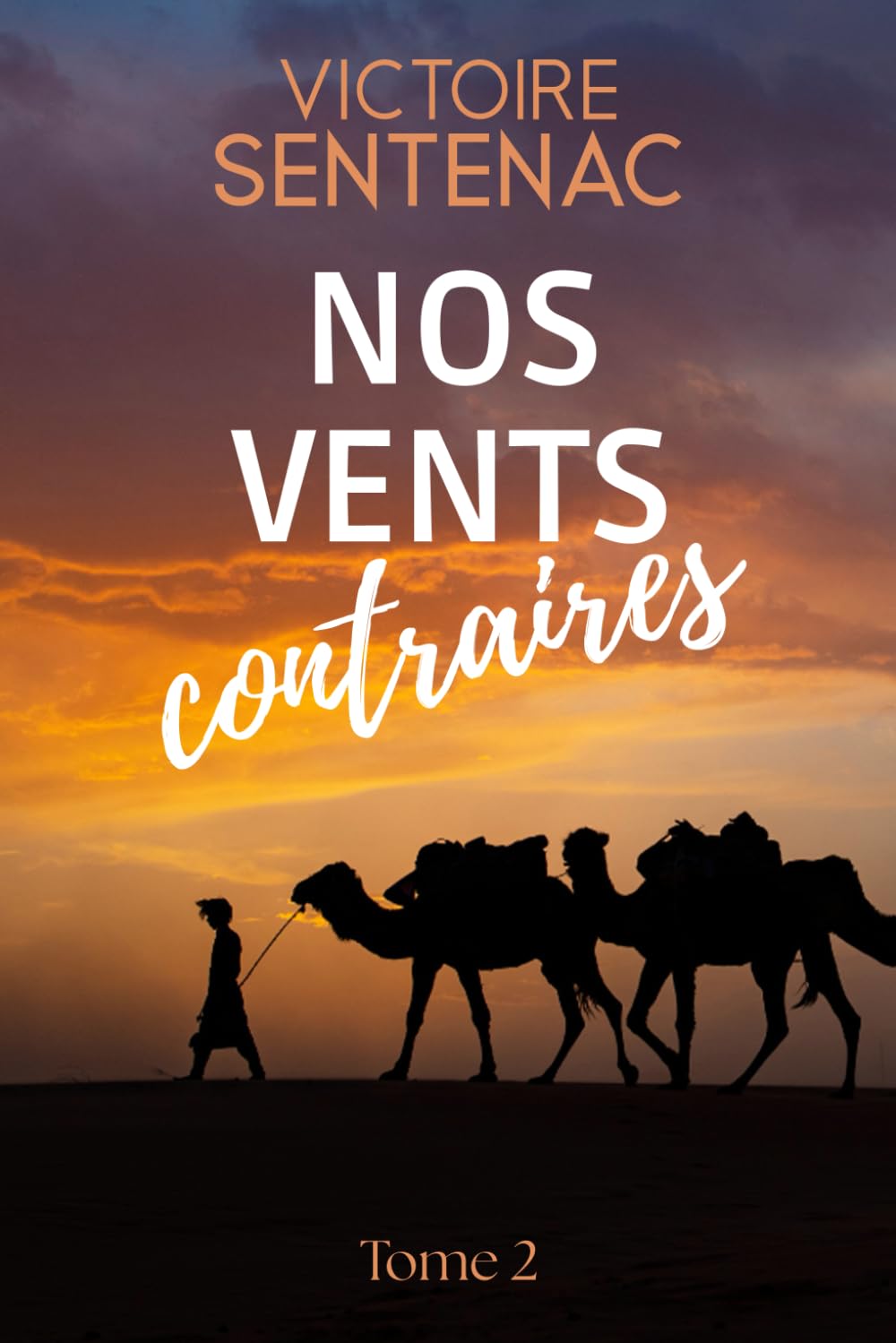 Victoire Sentenac - Nos vents contraires: Tome 2 Juste après l'orage - Preis vom 30.09.2026 22:30:23 h