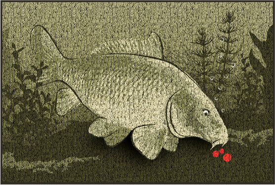 Paillason Delphin CatchME! Carpe 60x40cm Gray, Silver 60x40cm