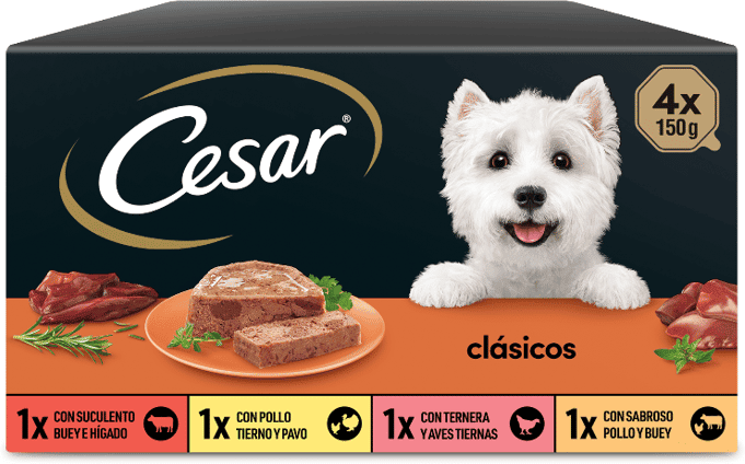 Cesar Receitas Clássicas Multipack 6 un x 4 un