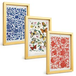 BILDER SET 3er Set - 20x30 cm Goldrahmen - Vintage-Blumen-Schmetterlings-Ornamente
