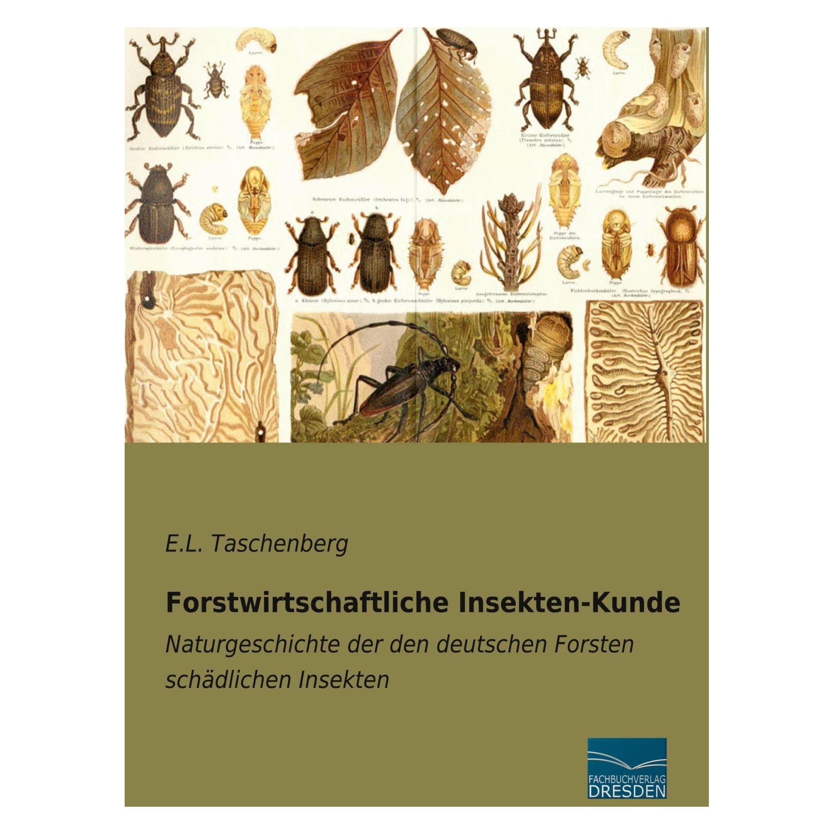 Fachbuchverlag Forstwirtschaftliche Insekten-Kunde (Deutsch, Softcover, E L Taschenberg) (41394520)