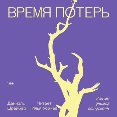Vremya poter - Daniel Shrayber, Audio, 9785042125294