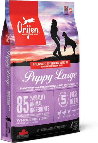 Orijen Puppy Large Breed Dog 6 kg