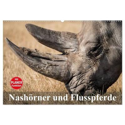 Nashörner und Flusspferde (Wandkalender 2027 DIN A2 quer), CALVENDO Monatskalender