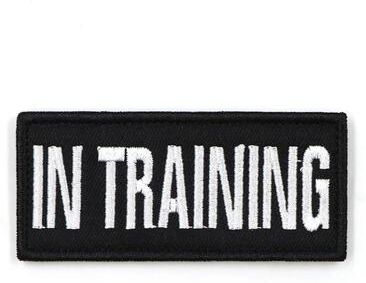 Uplifted Finds "Tactical ""Mission Ready"" Escape Proof Cat Harness patch C"