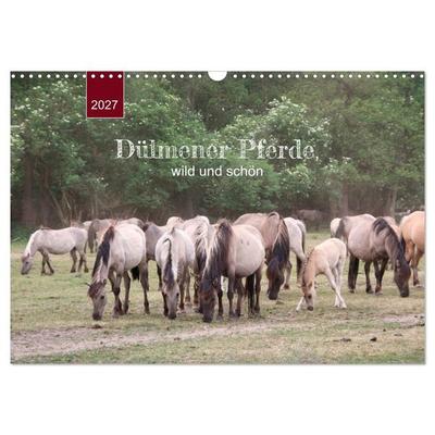 Dülmener Pferde, wild und schön (Wandkalender 2027 DIN A3 quer), CALVENDO Monatskalender