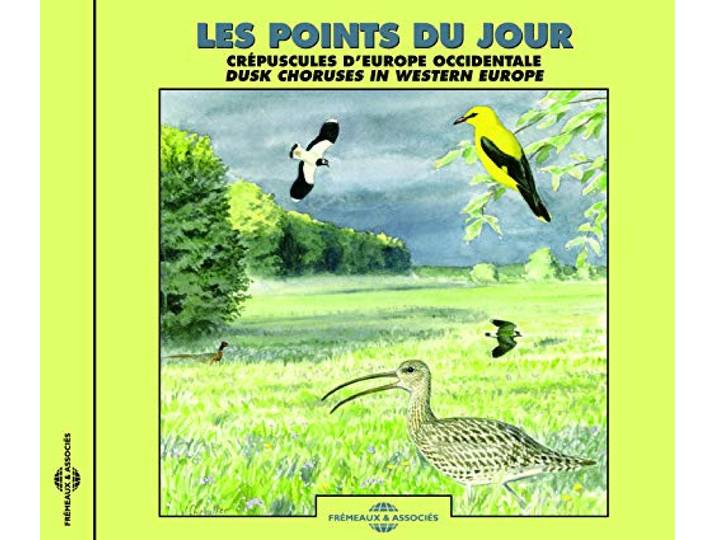 Sound Effects Birds - Les Points Du Jour