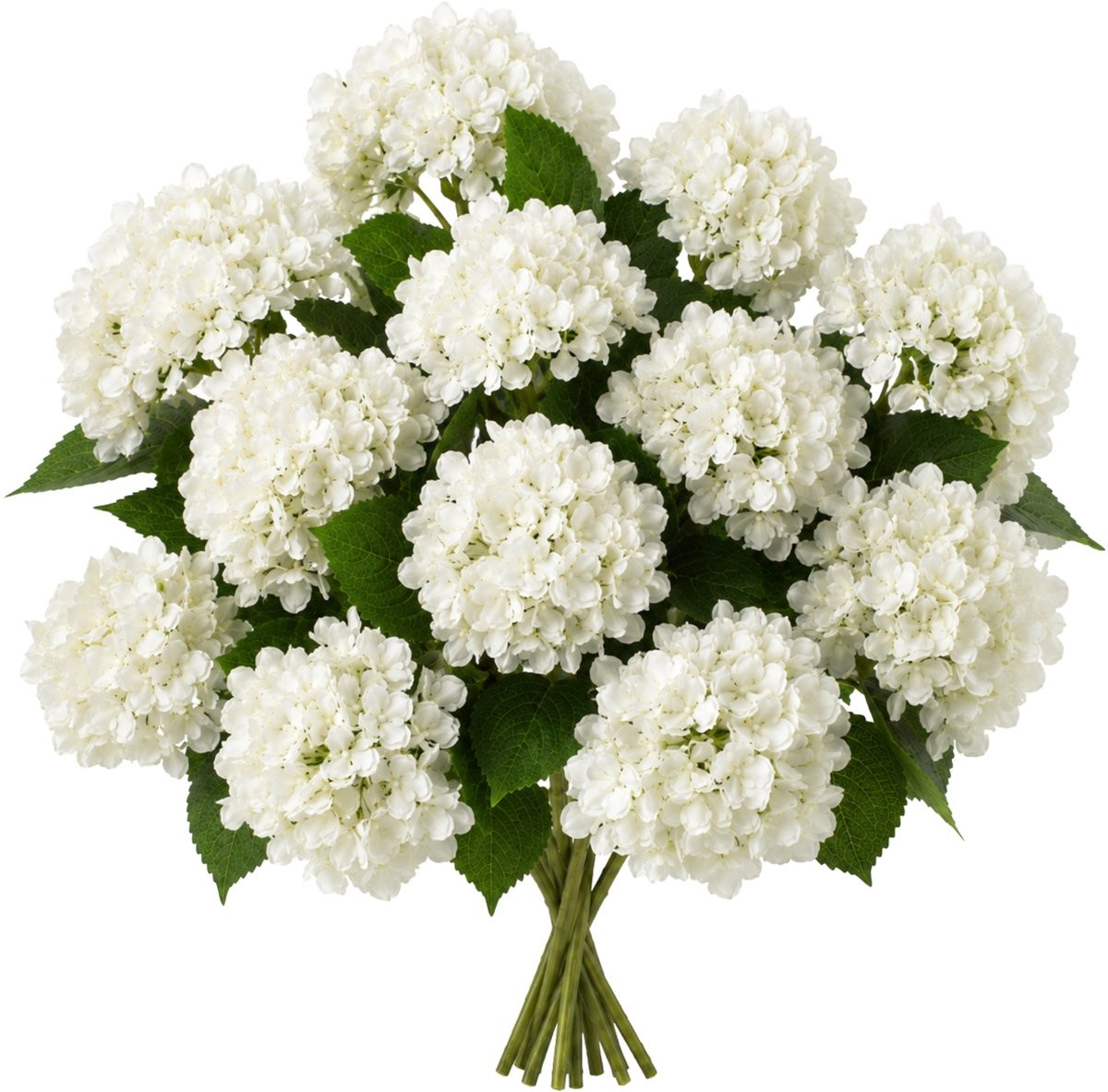 ROSIFY Kunsthortensia Wit - Set van 12 stuks - 46 cm
