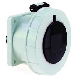 Bals Elektrotechnik 1377 1377 CEE Anbaudose 16.0 A 4polig 500 V 1 St.