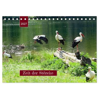 Zeit der Störche (Tischkalender 2027 DIN A5 quer), CALVENDO Monatskalender