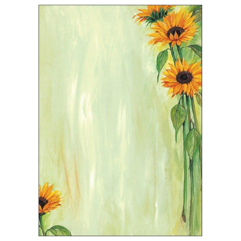 SIGEL Motivpapier Sunflower Motiv DIN A4 90 g/qm 25 Blatt