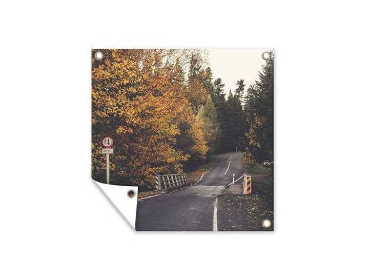 Tuinposter - 200x200 cm - Bomen - Weg - Herfst