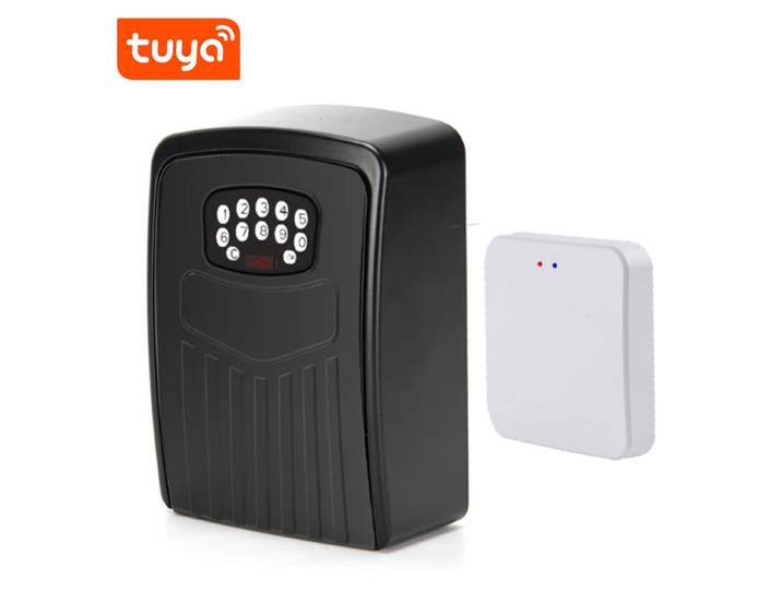Tuya – boîtes de sécurité pour clés Bluetooth, déverrouillage à distance, mot de passe, vie intelligente, serrure intelligente, boîte de rangement, Hub inclus ﻿