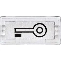 Merten Symbol Schlüssel kl rechteckig 395769