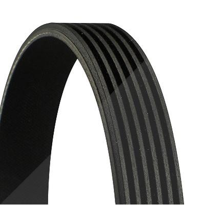 Continental Ctam Keilrippenriemen [Hersteller-Nr. 6PK2077] für Toyota, Chrysler, Land Rover, Dodge, Honda, Cadillac, Ford Usa, VW, Ford, Jeep, Mercede