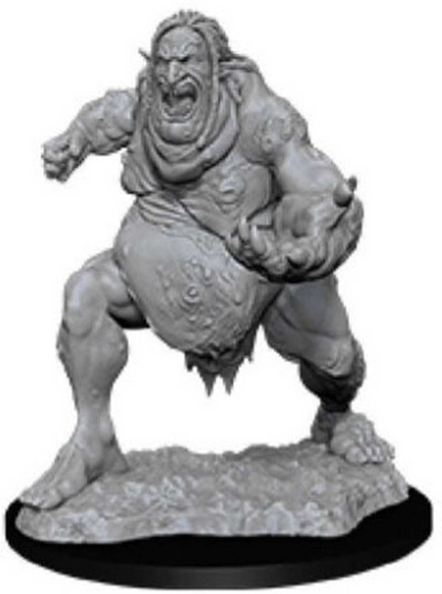 Wiz Kids LLC D&D; Nolzur's Marvelous Miniatures: Venom Troll for Tabletop Gaming