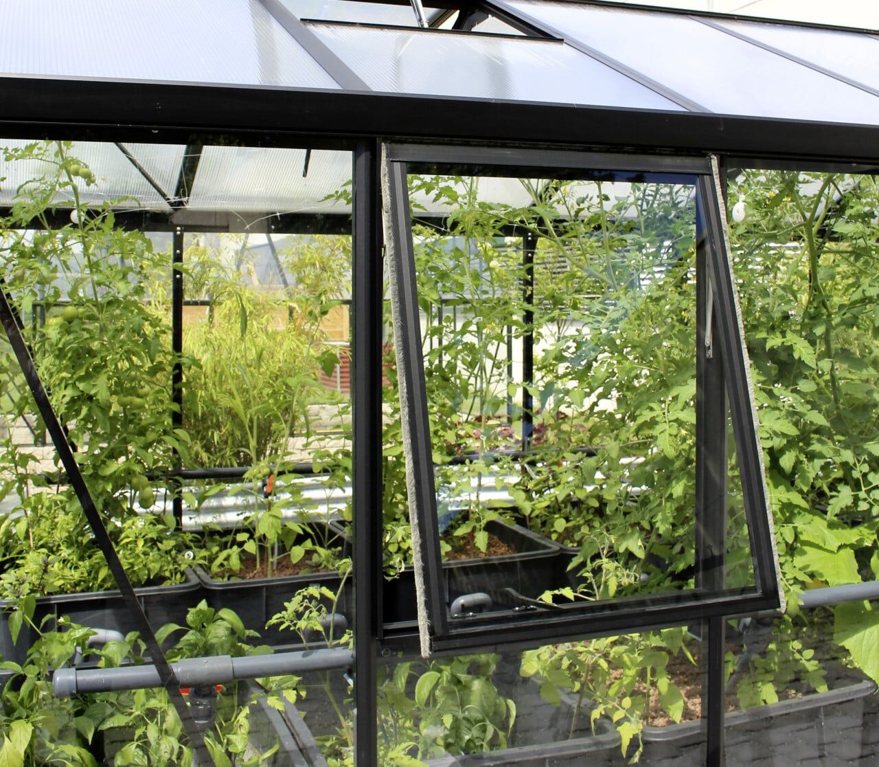 Vitavia Seitenfenster Z zu Gewächshaus Zeus schwarz