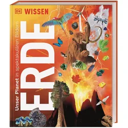 DK Wissen. Erde, Kinderbücher von Birgit Reit, DK Verlag - Kids