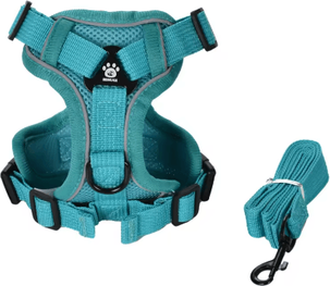Inspire Picks ComfortGlow Reflective Pet Harness & Leash Set For Cats And Small Dogs turquoise xl