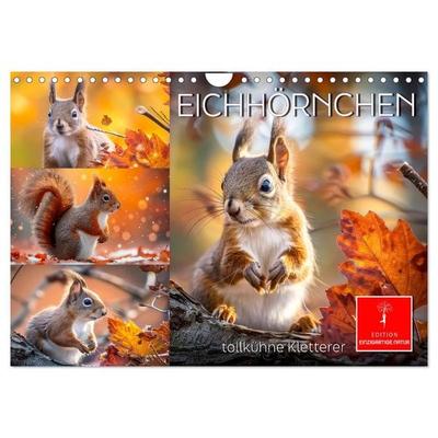 Eichhörnchen - tollkühne Kletterer (Wandkalender 2026 DIN A4 quer), CALVENDO Monatskalender