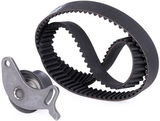INA 530 0006 10 Timing belt kit