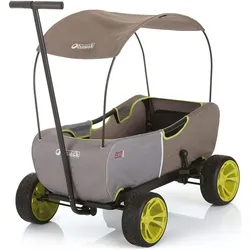 Hauck Toys for Kids Bollerwagen Bollerwagen Eco Mobil - faltbar mit Dach