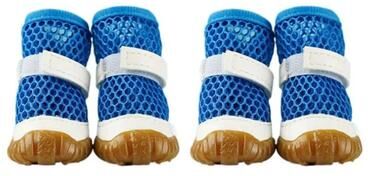 Uplifted Finds Aero Mesh Summer Active Dog Sneakers blue s