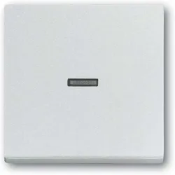 Busch-Jaeger Wippe 1789 N-83 2CKA001751A3149