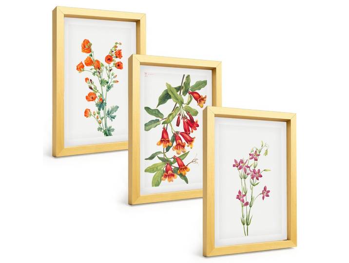 BILDER SET 3er Set - 20x30 cm Goldrahmen - Vintage-Retro-Blumenmalerei