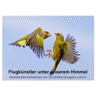 Flugkünstler unter unserem Himmel - Spektakuläre Aufnahmen von Uhu,Krähe,Graugans und Co (Tischkalender 2026 DIN A5 quer), CALVENDO Monatskalender