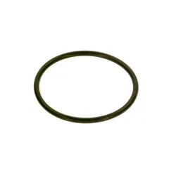 BOSCH Ersatzteil TTNR: 7746900572 O-Ring 85x5.3