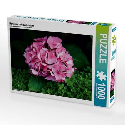 CALVENDO Puzzle Hortensie mit Buchsbaum | 1000 Teile Lege-Größe 64x48cm Foto-Puzzle für glückliche Stunden