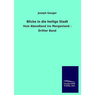 Blicke in die heilige Stadt, Taschenbuch von Joseph Gauger, Salzwasser, 978-3-8460-1482-0