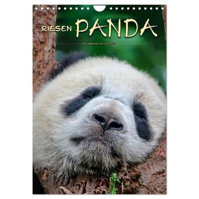 Riesenpanda (Wandkalender 2027 DIN A4 hoch), CALVENDO Monatskalender