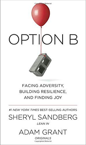 Sheryl Sandberg - Option B: Facing Adversity, Building Resilience, and Finding Joy - Preis vom 11.10.2026 03:10:56 h